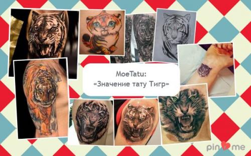 Тату тигрицы для девушек. Тату тигр – значение и эскизы для девушек и мужчин 01