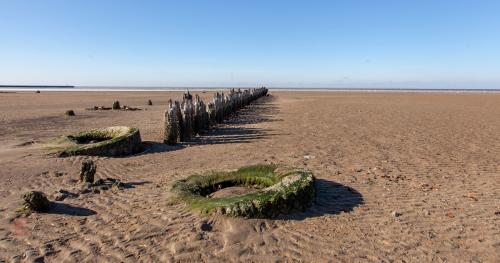 2019 год в каком цвете встречать. В каком цвете встречать Новый 2019 год 11