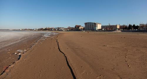2019 год в каком цвете встречать. В каком цвете встречать Новый 2019 год 10