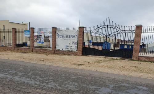 2019 год в каком цвете встречать. В каком цвете встречать Новый 2019 год 15