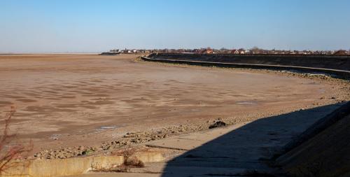 2019 год в каком цвете встречать. В каком цвете встречать Новый 2019 год 08