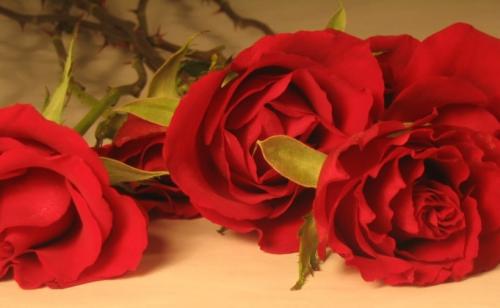 Как сделать девушке приятное. Как сделать приятное любимой девушке: советы психолога