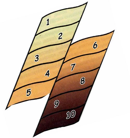 Звездные секреты идеальных волос. Секрет идеальных волос Кейт Миддлтон 02 Звездные секреты идеальных волос. Секрет идеальных волос Кейт Миддлтон 02