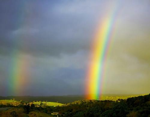 Знаете ли вы, что есть язык, в котором нет слов для обозначения цветов. О цветах в языках