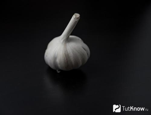 Как избавиться от мозолей. Сухая мозоль: причины появления и методы удаления 07