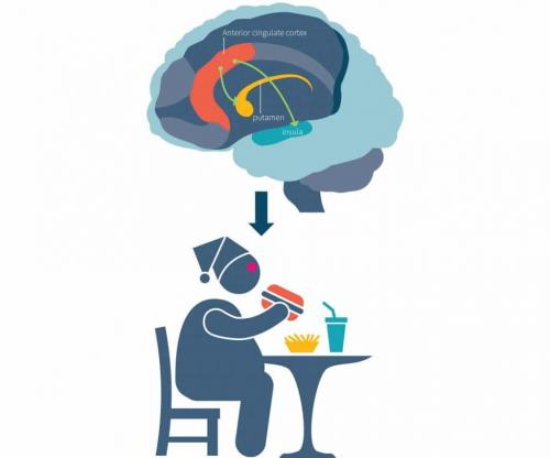 Как сон влияет на вес. Как недостаток сна приводит к лишнему весу