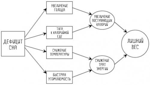 Как сон влияет на вес. Как недостаток сна приводит к лишнему весу