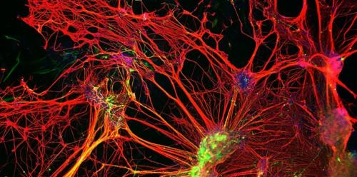 1Десять лучших мазей для быстрого заживления ран. ТОП-10 лучших мазей для заживления ран 03