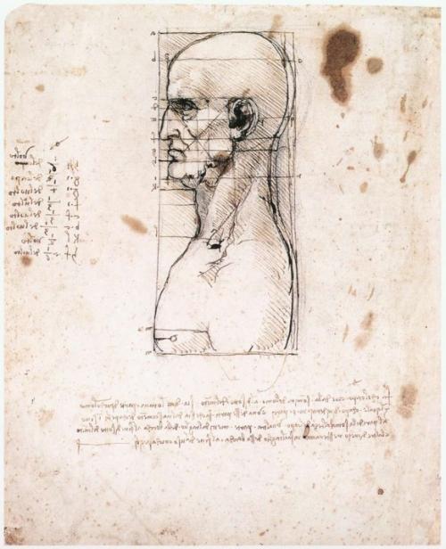 Курносый нос картинки. Пропорции идеального лица по золотому сечению Леонардо да Винчи