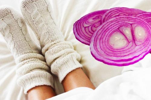 Как правильно класть лук в носки. Как лук в носках способен избавить от грибка и простуды