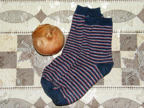 Для чего нужно спать с луком в носках. Лук в носки на ночь, целебные способности