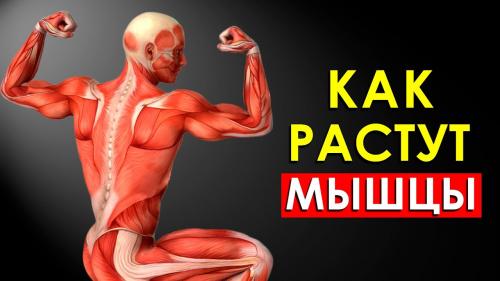 Можно ли увеличивать интенсивность упражнений со временем. Тренировка повышенной интенсивности с интервалами