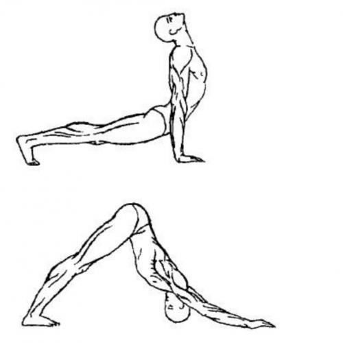 Полное руководство по разминке перед тренировкой мышц: как подготовить тело для эффективного упражнения 01