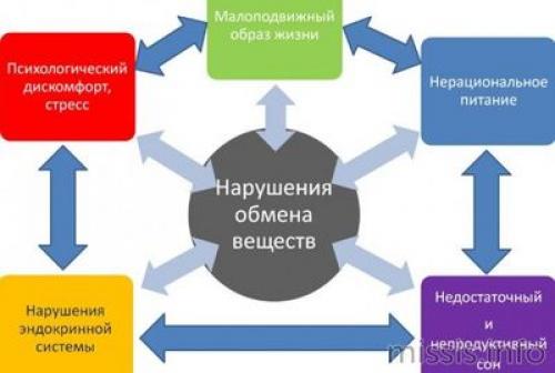 10 мифов и фактов о метаболизме. Самые опасные 5 мифов о метаболизме 02 10 мифов и фактов о метаболизме. Самые опасные 5 мифов о метаболизме 02