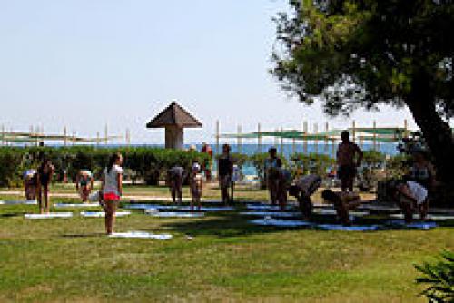 Вот почему утренняя зарядка лучше всех вечерних.. Почему нужна утренняя зарядка 02