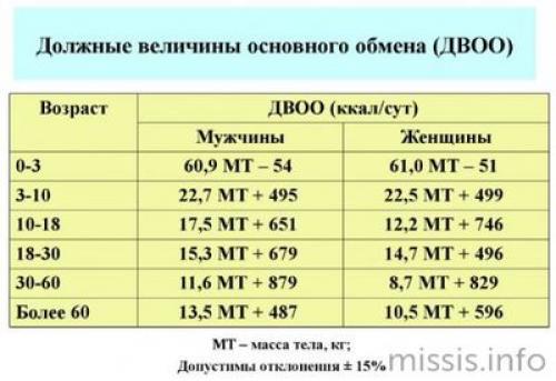 Упражнения для ускрения обмена веществ. Что такое обмен веществ 02