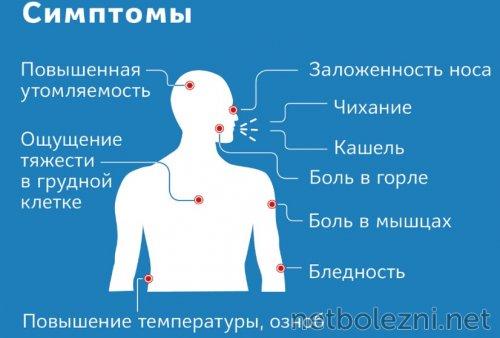 Легкая форма COVID-19: что это и как ее отличить от более тяжелой 02 Легкая форма COVID-19: что это и как ее отличить от более тяжелой 02