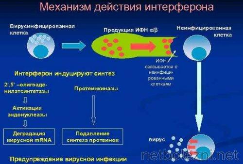 Лечение коронавируса: возможно ли профилактика и лечение с помощью лекарств 04 Лечение коронавируса: возможно ли профилактика и лечение с помощью лекарств 04
