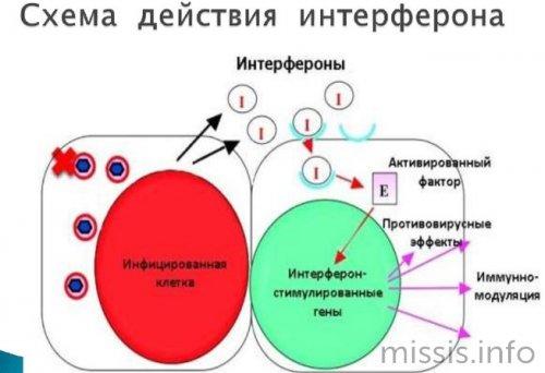 Лечение коронавируса: возможно ли профилактика и лечение с помощью лекарств 09 Лечение коронавируса: возможно ли профилактика и лечение с помощью лекарств 09