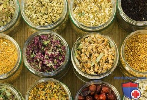 Можно ли использовать мелиссу мяту при заболеваниях желудочно-кишечного тракта. Полезные качества