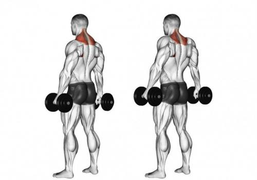Утренняя зарядка на все случаи жизни. 5 важных рекомендаций 07