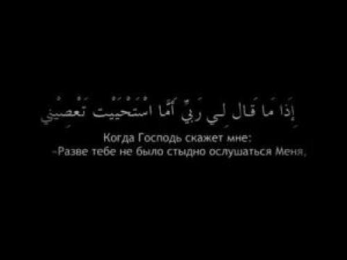Пословицы на арабском с переводом. Цитаты на арабском с переводом