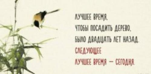 Китайские пословицы на китайском с переводом. Цитаты на китайском с переводом