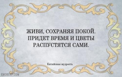 Китайская мудрость: цитаты. Китайские цитаты и фразы о жизни