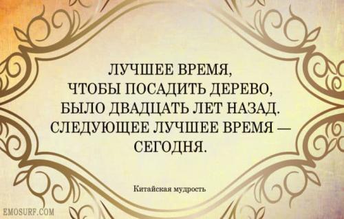 Китайская мудрость: цитаты. Китайские цитаты и фразы о жизни