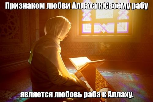 Арабские пословицы про любовь с переводом. Исламские цитаты про любовь