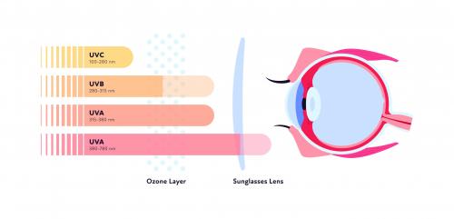 Какие очки наиболее удобны для ношения. Топ 5 самых популярных брендов солнцезащитных очков: