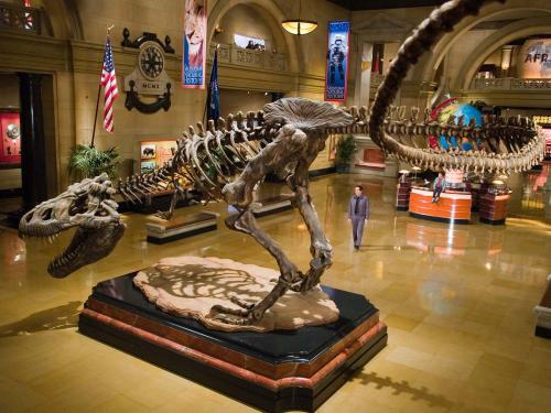 Куда пойти на первое свидание с девушкой. Куда пойти с девушкой на свидании? Топ 20 лучших мест!