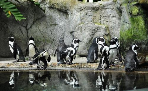 Куда пойти на первое свидание с девушкой. Куда пойти с девушкой на свидании? Топ 20 лучших мест!