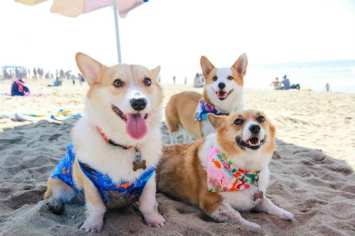 Как произвести впечатление на первом свидании.. Запрещенные темы и ошибки в общении на первом свидании 04 Как произвести впечатление на первом свидании.. Запрещенные темы и ошибки в общении на первом свидании 04