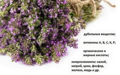 Как сделать кожу лица идеальной за неделю. Идеальная кожа лица после 30 лет за неделю: фитотерапия, кремы, гели, скрабы, маски, уход в домашних условиях