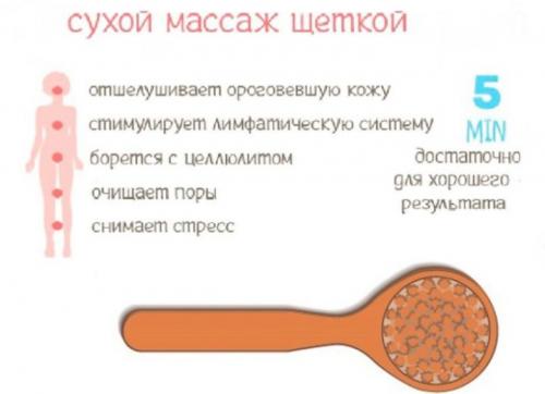 Щетка для целлюлита, как пользоваться. Плюсы массажа сухой щеткой