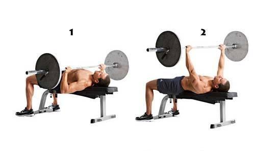 Упражнения для самостоятельной тренировки. Тренировки для начинающих в домашних условиях для похудения: 50 упражнений + план на 5 дней 05