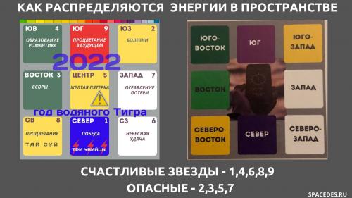 Что предвещает 2022 год для кабанов в личной жизни