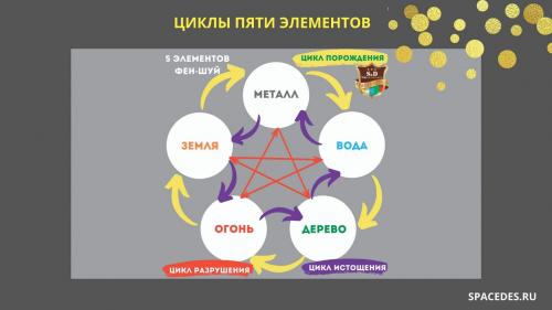 Что предвещает 2024 год для кабанов в личной жизни. Петух