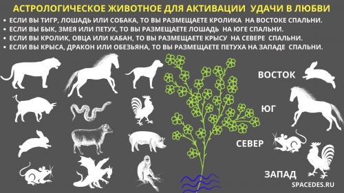 Что предвещает 2024 год для кабанов в личной жизни. Петух