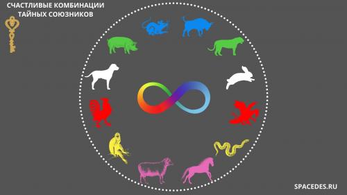 Что предвещает 2024 год для кабанов в личной жизни. Петух