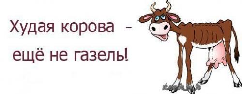 Красивая фигура в домашних условиях. Как сделать идеальную фигуру или что такое липоабдоминопластика 18
