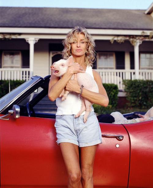 Самые идеальные фигуры девушек. Идеальные женские фигуры последних 60 лет (15 фото)