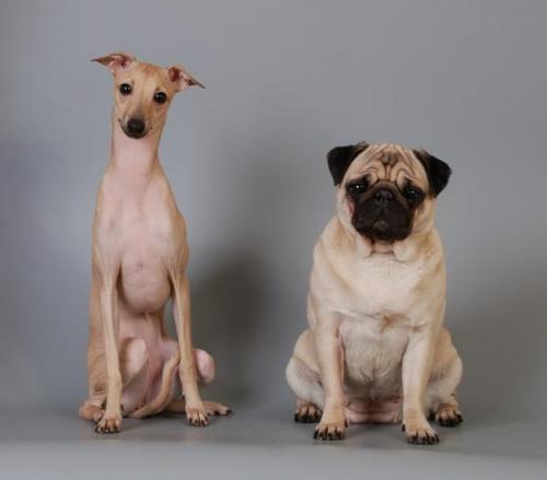 Красивая фигура в домашних условиях. Как сделать идеальную фигуру или что такое липоабдоминопластика 17