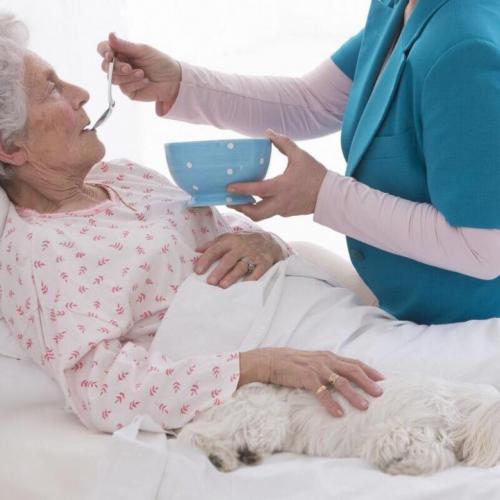 Чек-лист уход за телом. ЧЕК-ЛИСТ ПО УХОДУ ЗА ЛЕЖАЧИМИ БОЛЬНЫМИ.