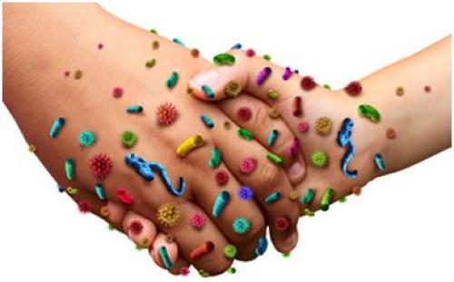 Защитите себя и ваших близких: основные меры профилактики коронавируса 04 Защитите себя и ваших близких: основные меры профилактики коронавируса 04