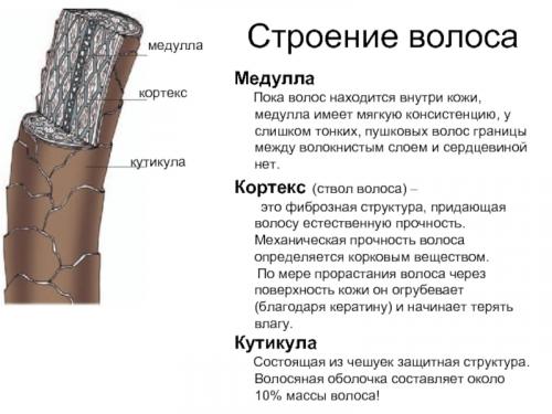 Как избавиться от пуха на голове раз и навсегда