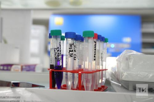 Как штамм Кентавр влияет на здоровье детей. Вирусолог о штамме «кентавр»: «Заразнее, чем просто “омикрон”, иммунитет видит его хуже»