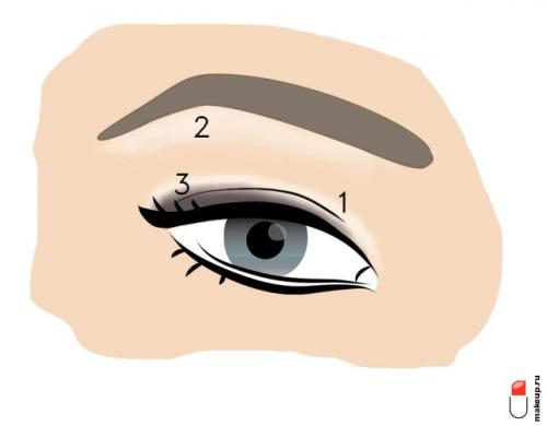 Как сделать макияж для начинающих более эффективным. Всему научим: макияж глаз для начинающих