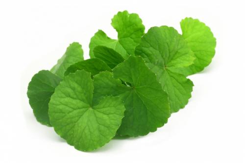 Лучшая корейская косметика для лица. Нетипичные компоненты корейских кремов 05